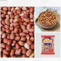 Roasted Peanuts (500 Gram), Crunchy Nutty Perfection | Healthy Snack | Ideal for Gifting & Everyday Munching